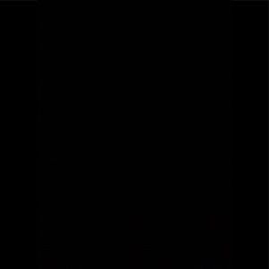 Meet your Posher, Tamar